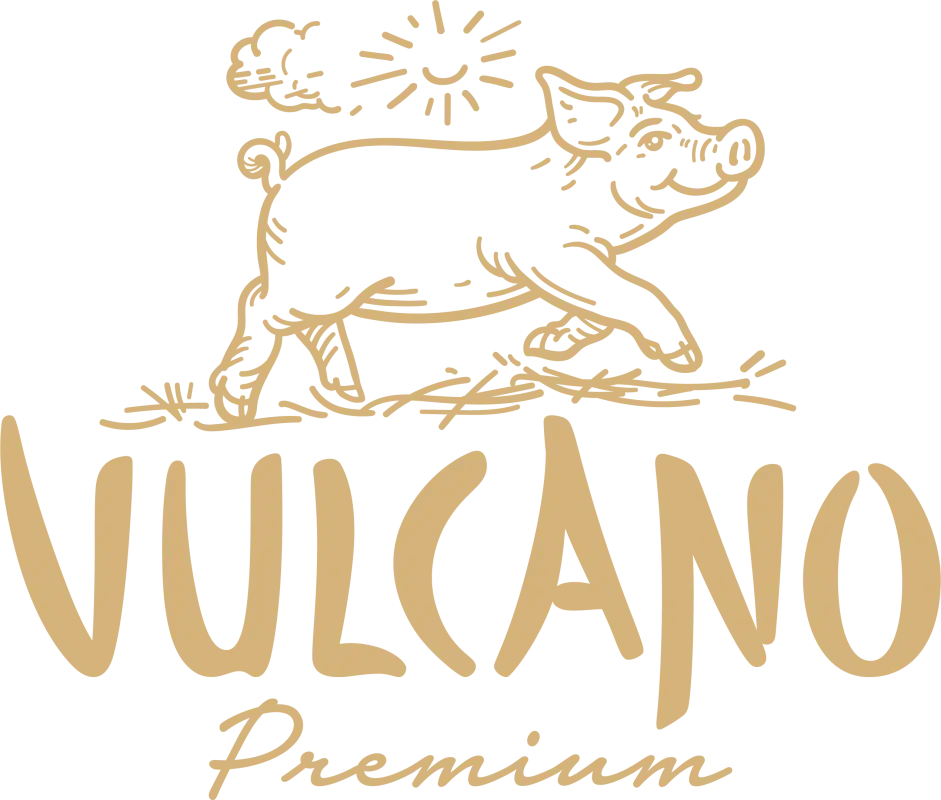 Logo Vulcano
